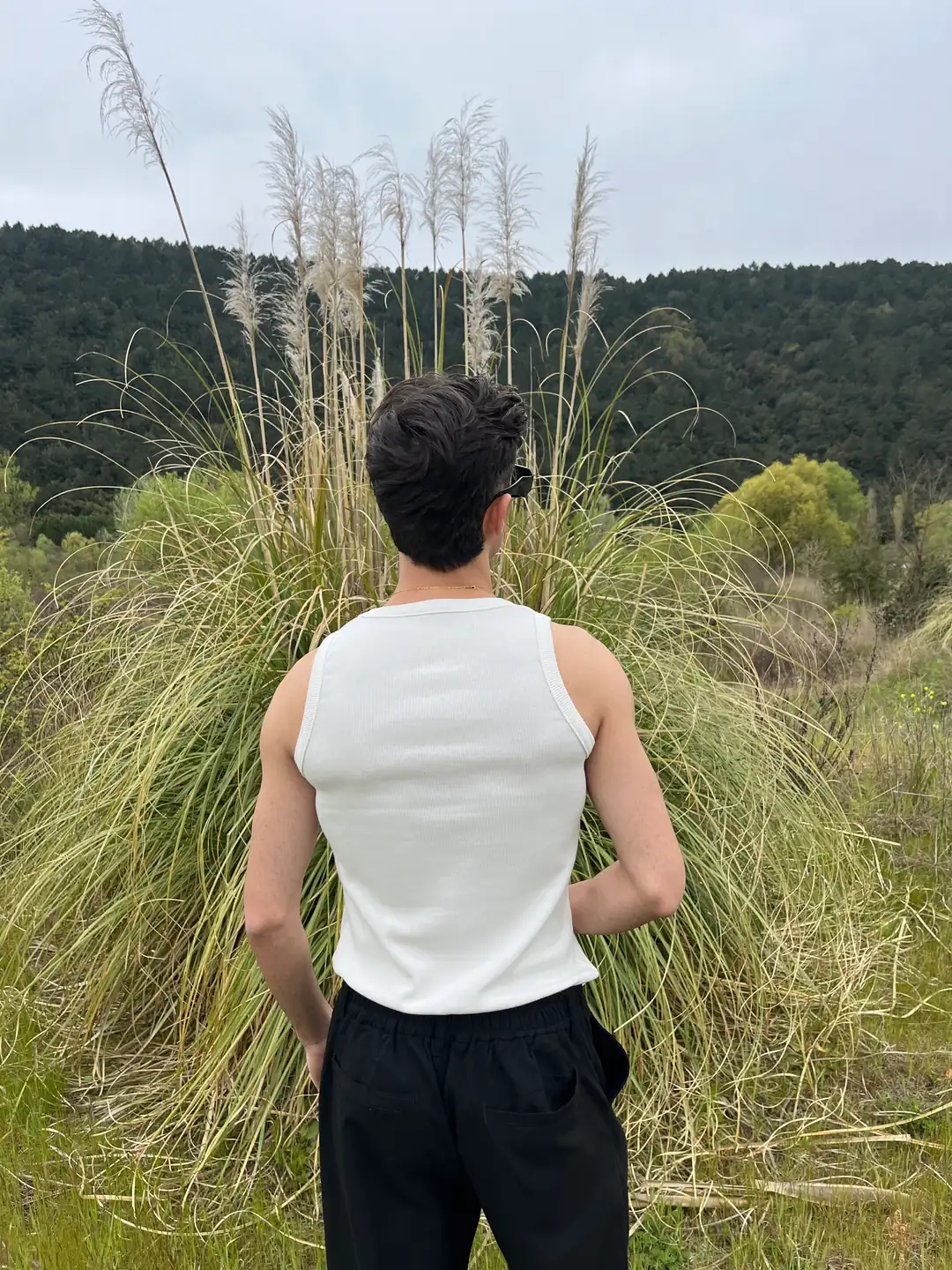 Premium Fitilli Atlet